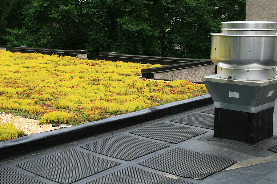 green roof commercial building
